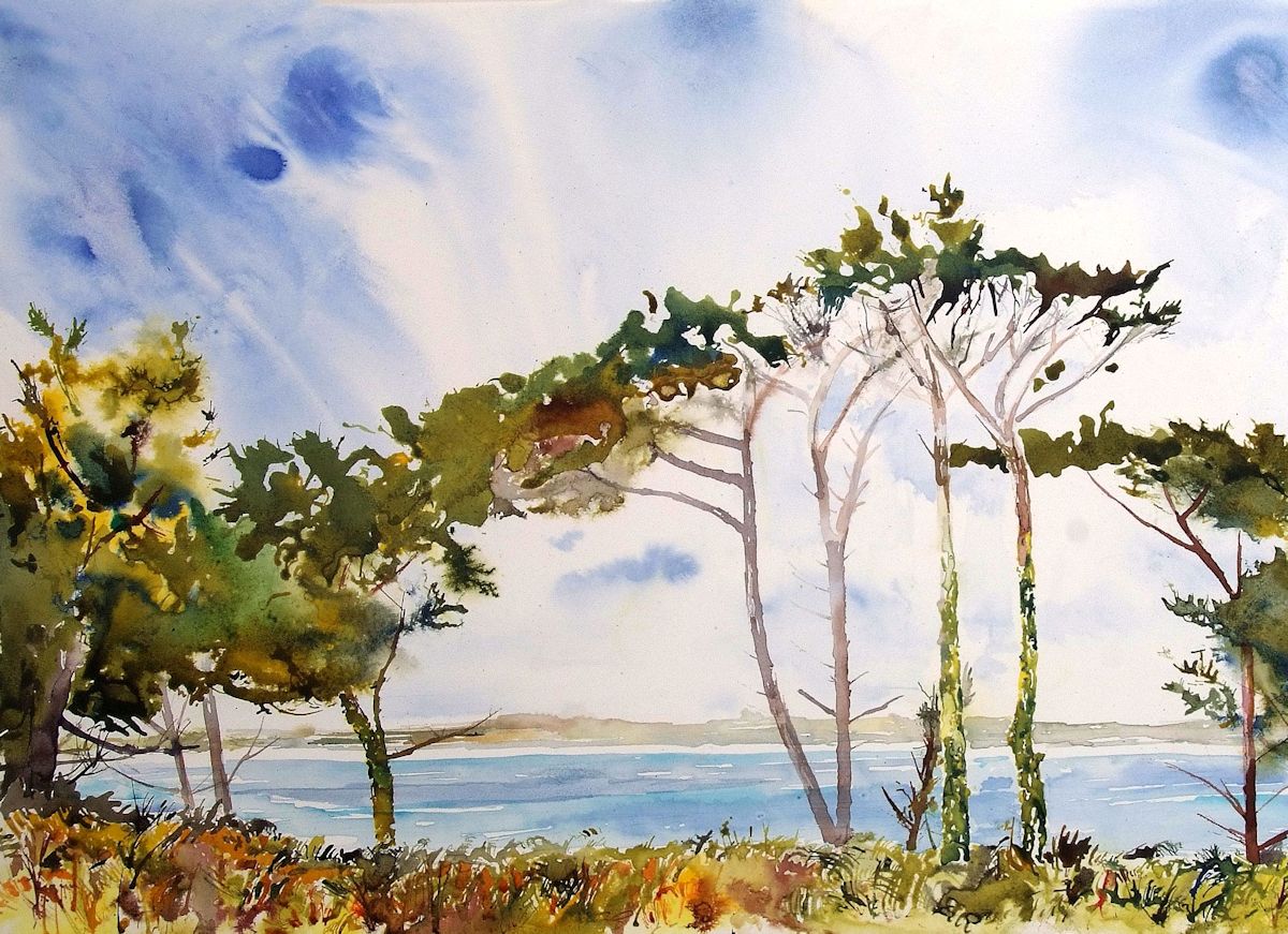 Innisidgen Pines by Stephen Morris, Isles of Scilly
