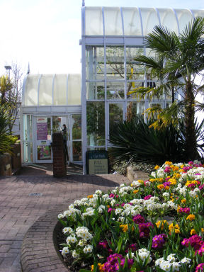 Conservatory Entrance and spring flowers at Birmingham Botanical Gardens and Glasshouses