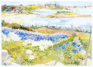 Agapanthus Fields, Isles of Scilly