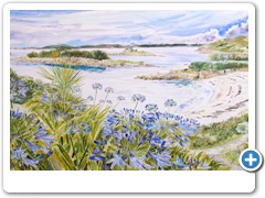 Donald's Agapanthus (St Marys)
LARGE - 36 inches by 19 inches approximately
 Original painting SOLD
