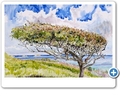 May Tree (St Marys)
Original Painting SOLD