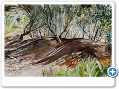 Pittosporum Tunnel (Old Town, St. Marys) 
Original painting SOLD