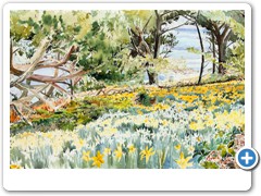 Sunlit Daffodils, Bar Point
 Original painting SOLD
