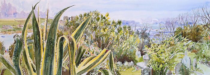 Agave Panorama from Old Town Churchyard, St. Marys, Isles of Scilly