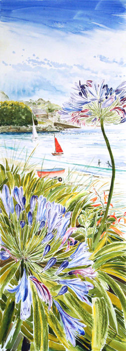 Red Sail and Agapanthus, Porthmellon, Isles of Scilly