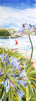 Red Sail and Agapanthus, St. Marys, Isles of Scilly