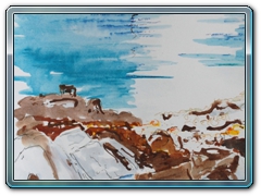 Sharks Pit RockPpool, Bright Afternoon 
Acrylic Ink Sketch SOLD